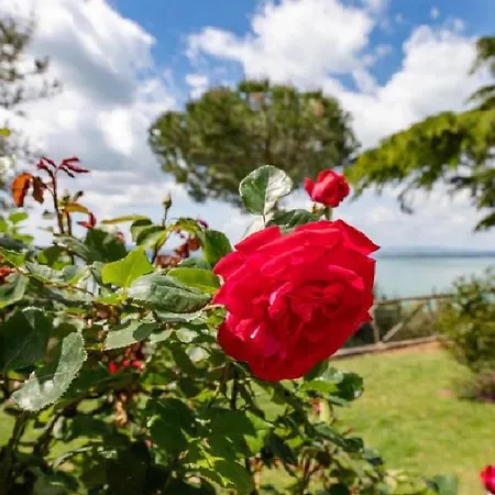 Gospodarstwo wiejskie Il Sodino 1738 - Locazione Turistica