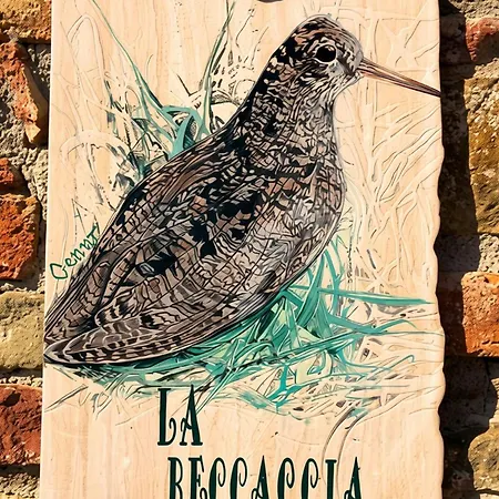 Il Sodino 1738 - Locazione Turistica