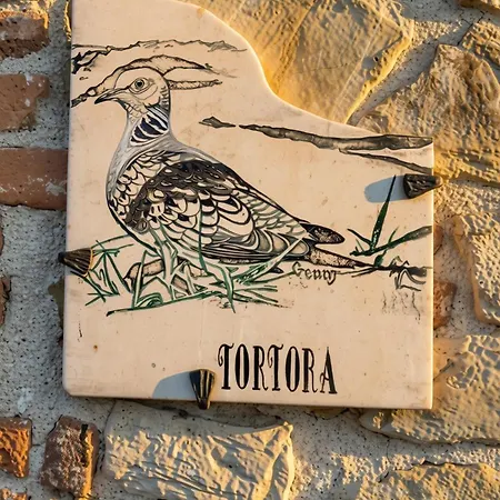 Casa rural Il Sodino 1738 - Locazione Turistica *