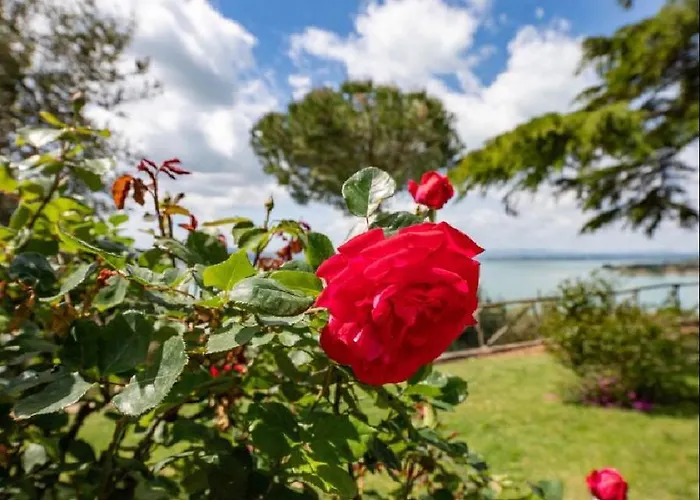 乡村民宿 Il Sodino 1738 - Locazione Turistica