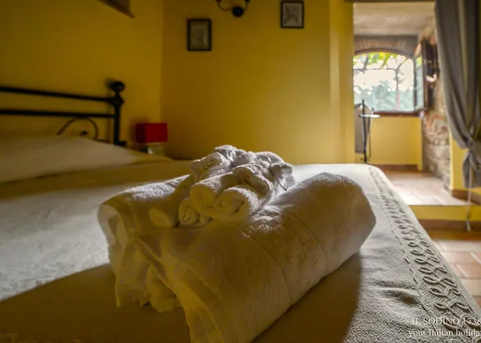 Il Sodino 1738 - Locazione Turistica *