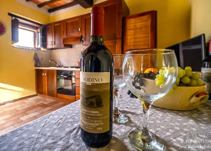 Il Sodino 1738 - Locazione Turistica 乡村民宿 *