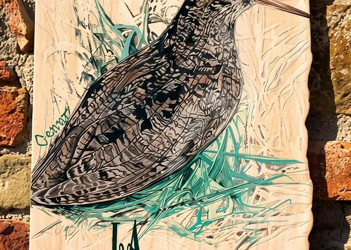 Il Sodino 1738 - Locazione Turistica