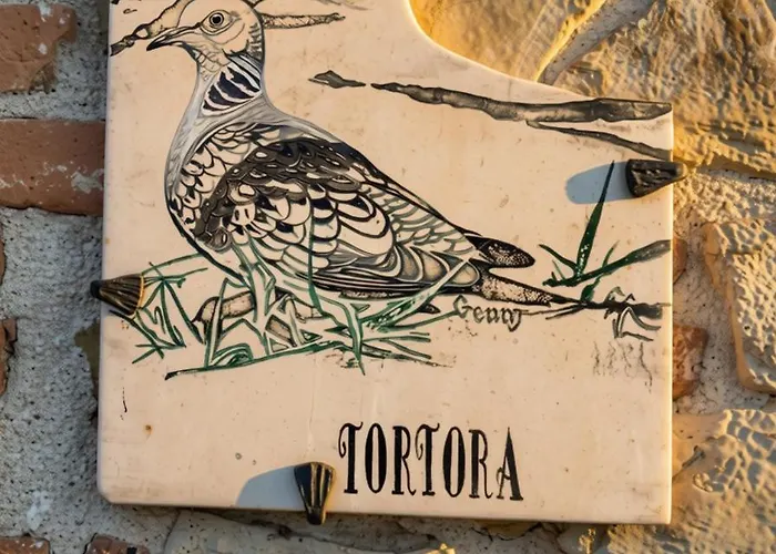 乡村民宿 Il Sodino 1738 - Locazione Turistica *